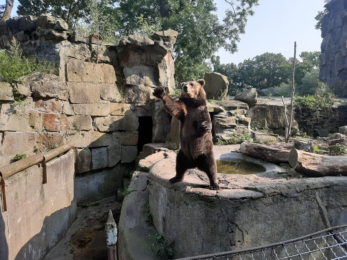 Личное фото