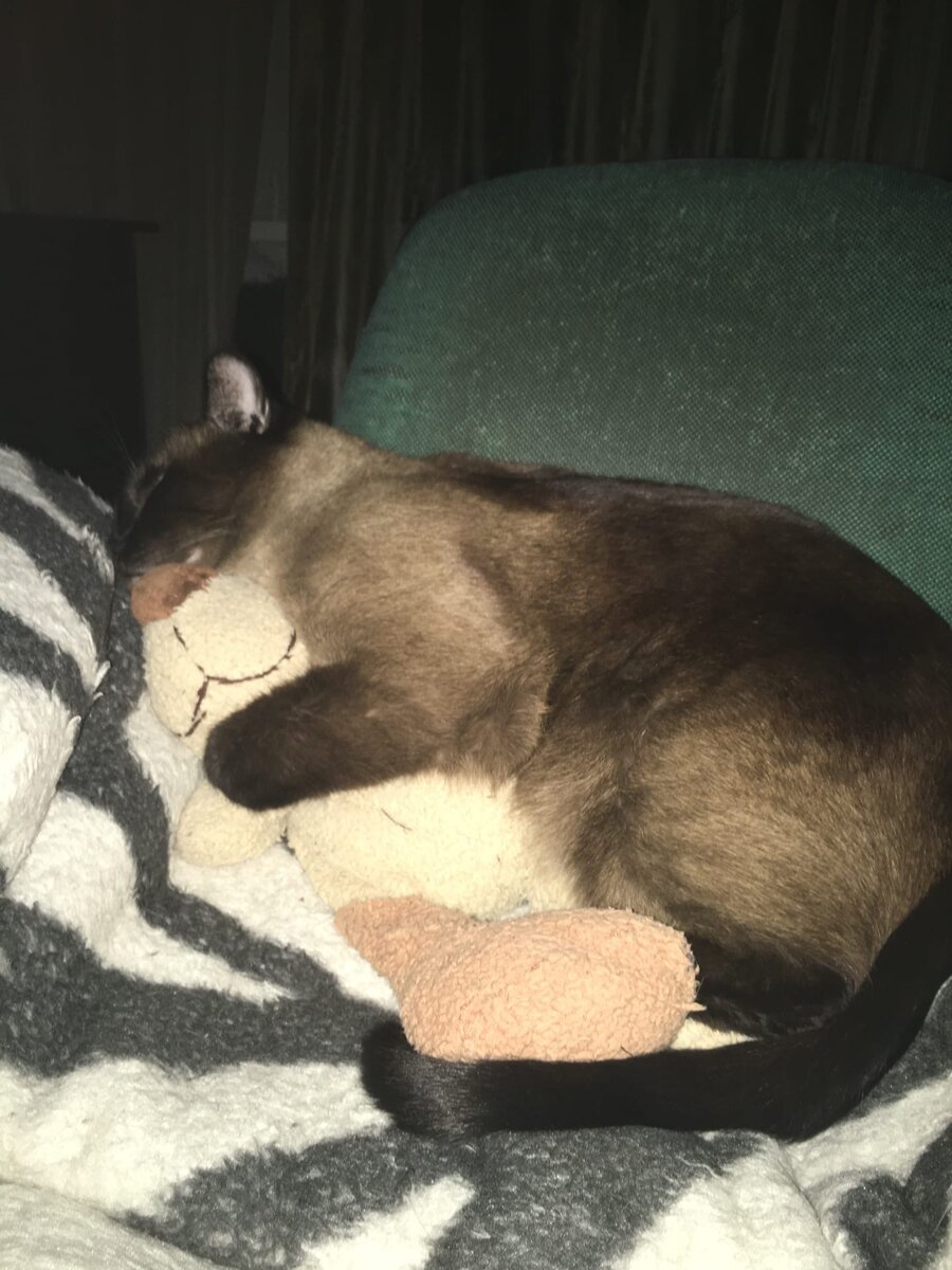         такой он здесь милый )))