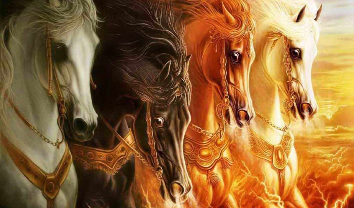 Фото из интернет-источника