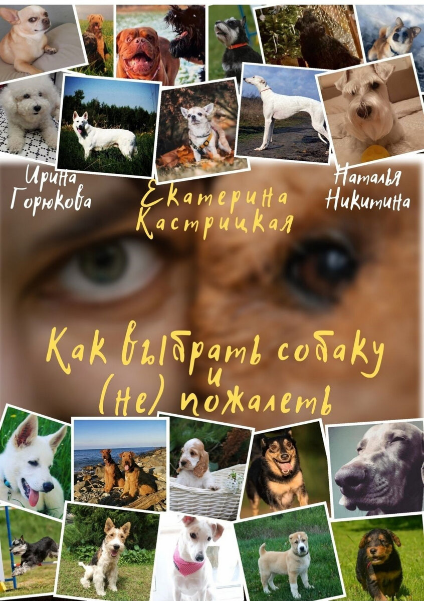 На фото: Книга "Как выбрать собаку и (не) пожалеть