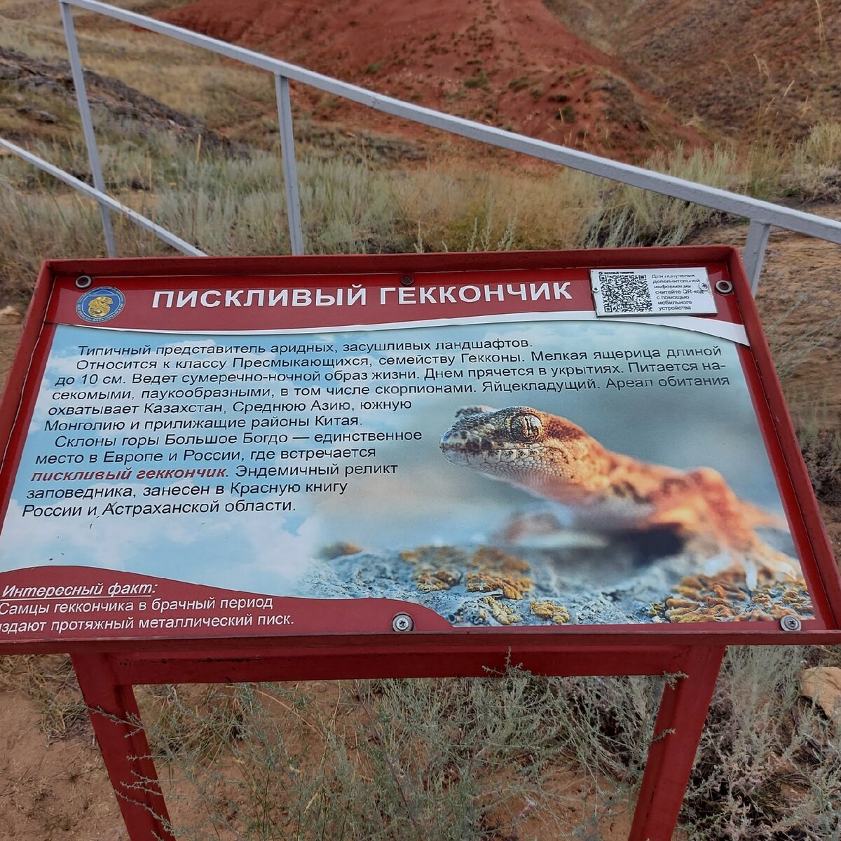 Калмыкия богдо график поездок январь 2025 года Гора Большое Богдо Путешествия в фотографиях ВКонтакте