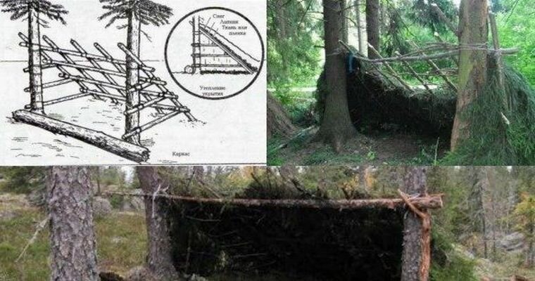 из интернета