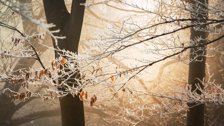 Фото: pixabay.com