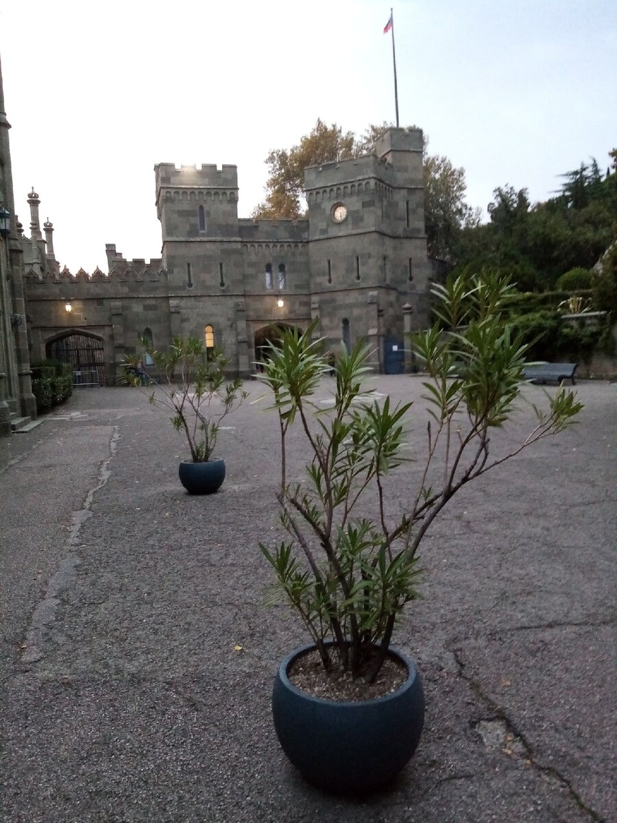 Воронцовский дворец на территории прекрасного парка. Вечер, туристы закончились)