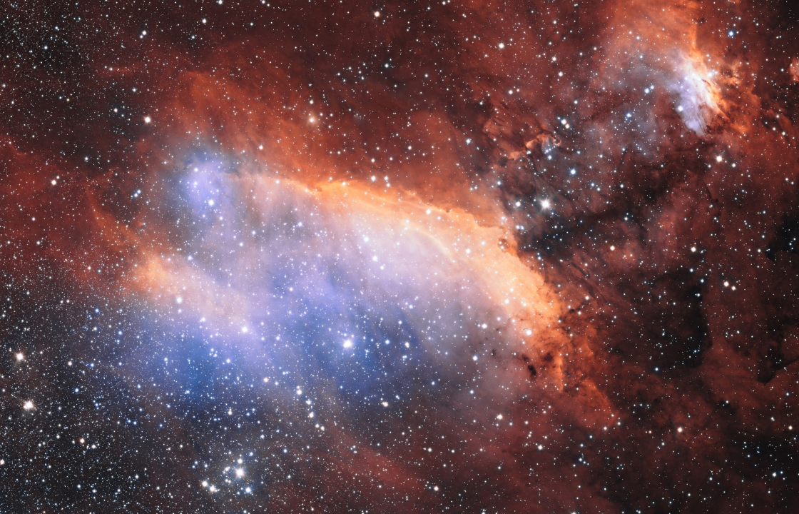 Картинка взята из "Canva" https://www.canva.com