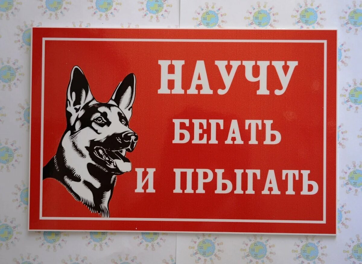 Во дворе злая собака табличка