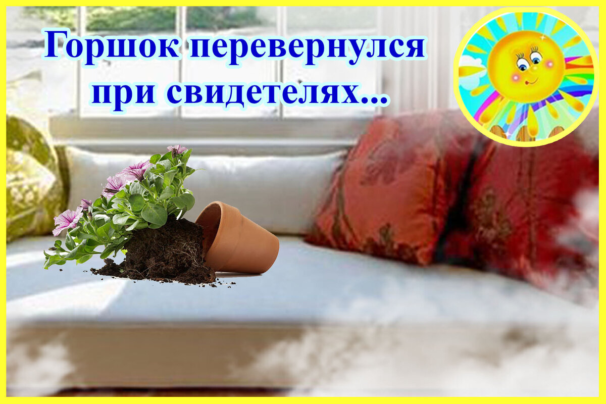 Личный архив