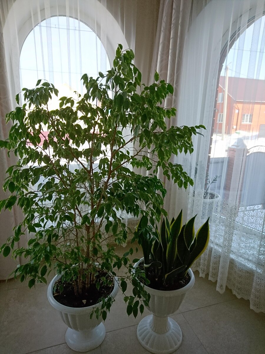 Фото автора.