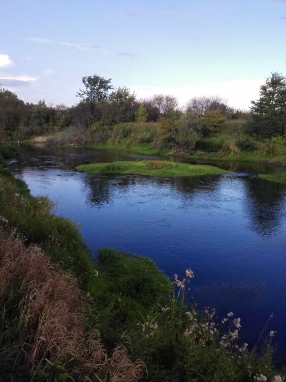 Типично голавлёвая река 