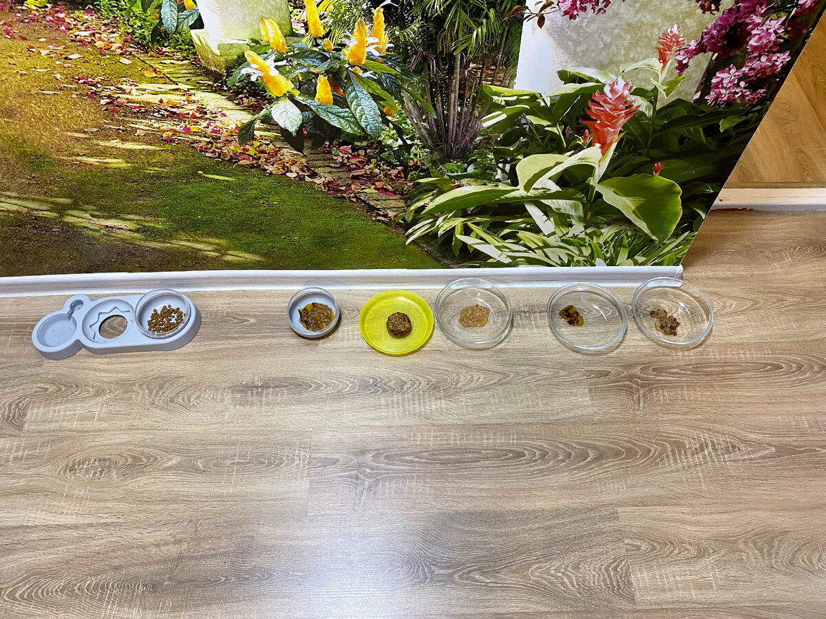 Ассорти из кормов со вкусами курицы, телятины, лосося, тунца и чего-то там еще