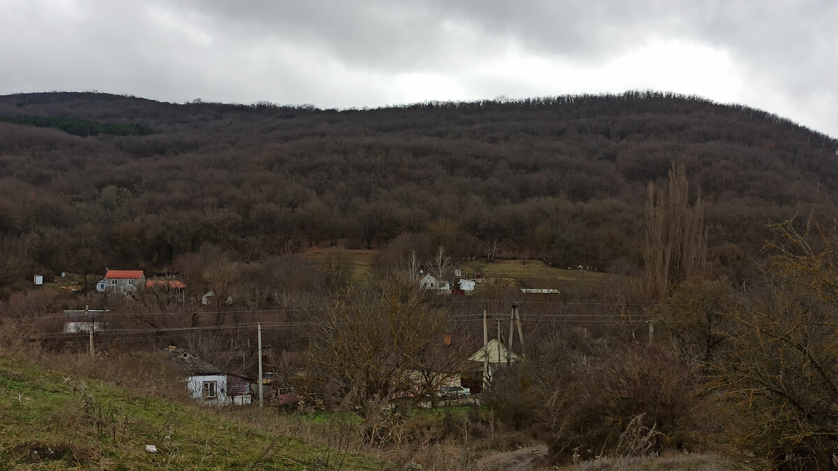 Вид с участка