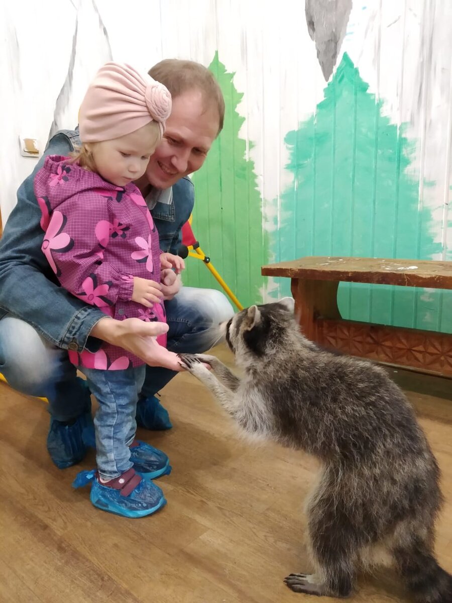 Клянчит еду)