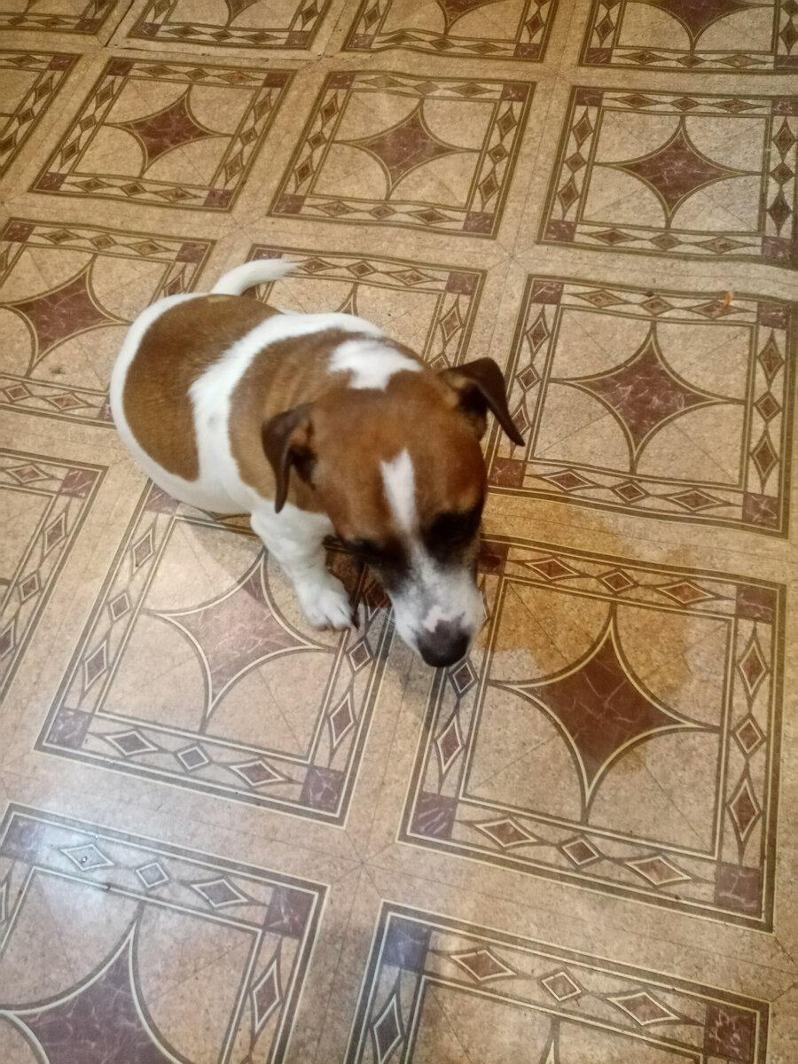 Мой скромный друг, только с виду.