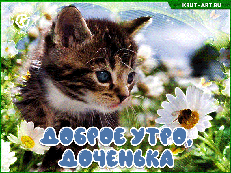 Открытка для любимой дочери с котенком, пожелания доброго утра и хорошего настроения. Пусть день будет отличным