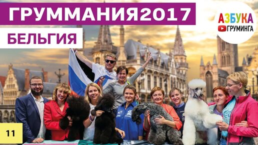 ГрумМания 2017 - поездка на Международный конкурс грумеров в Бельгию!