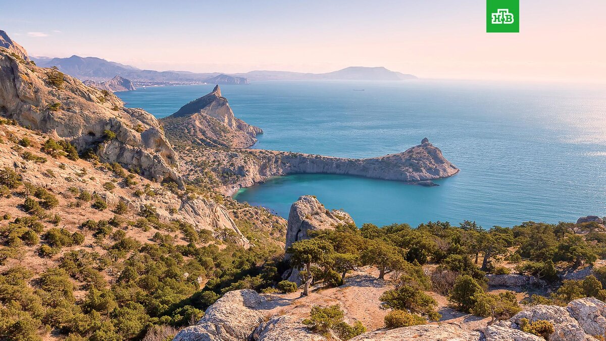    Фото: Getty Images