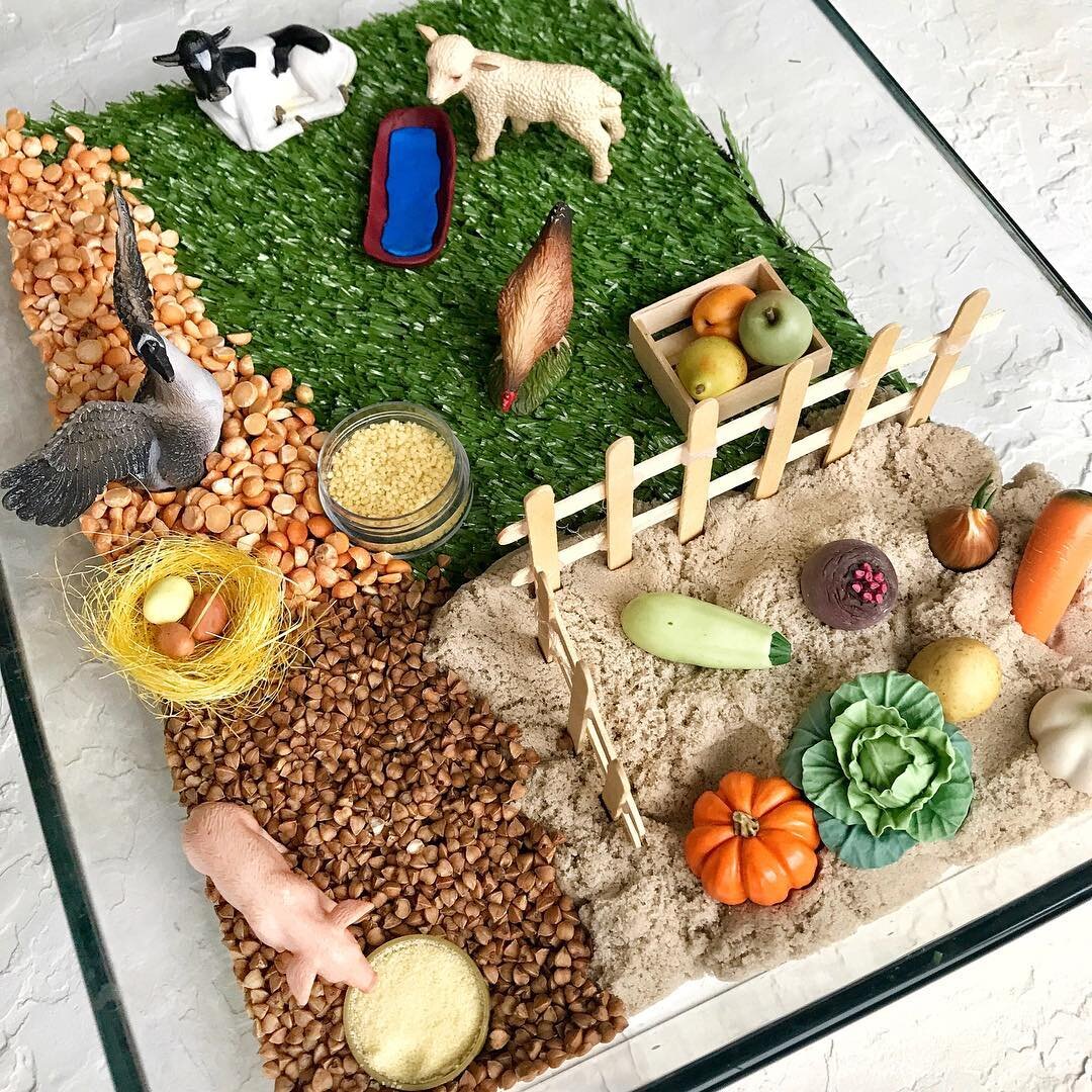 Сенсорная коробочка Ферма