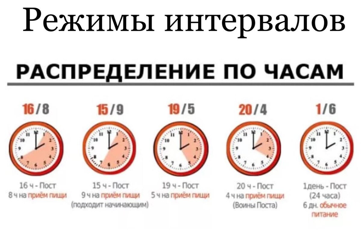 Интервальное голодание 16 8 схема по часам