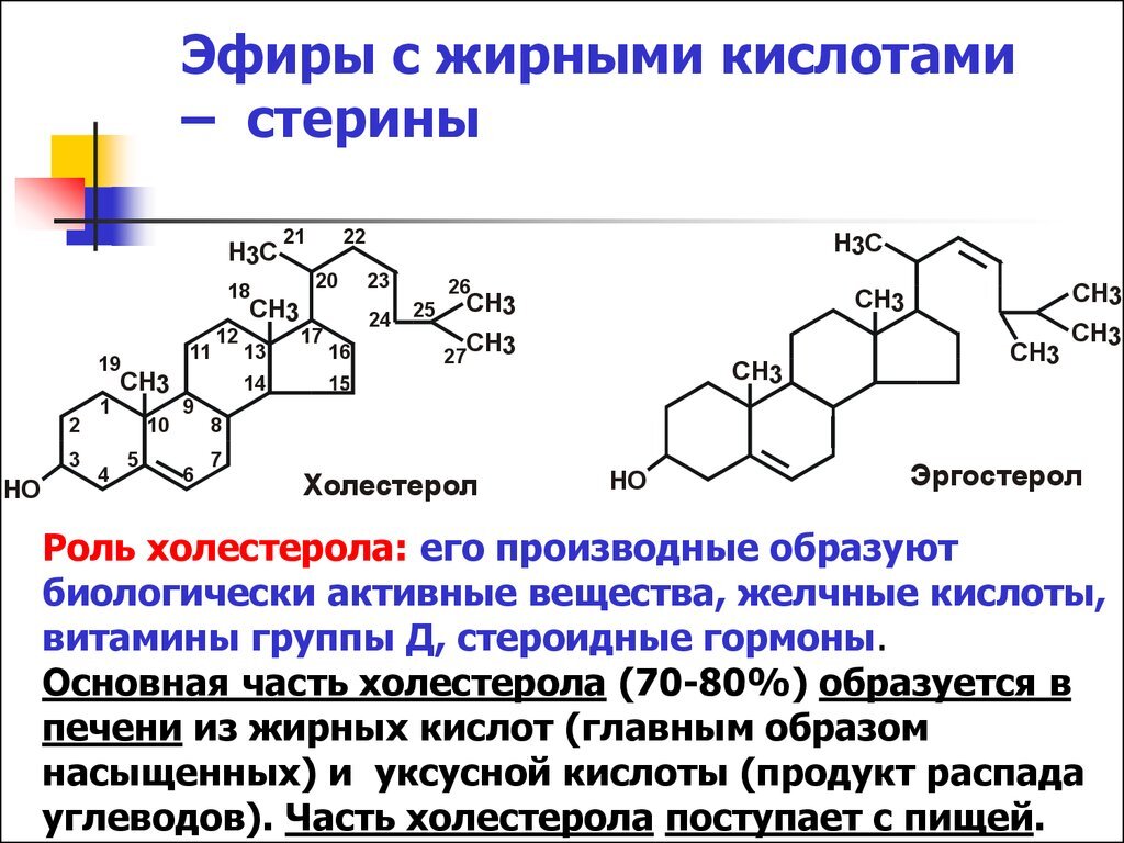 Холестерин презентация по химии