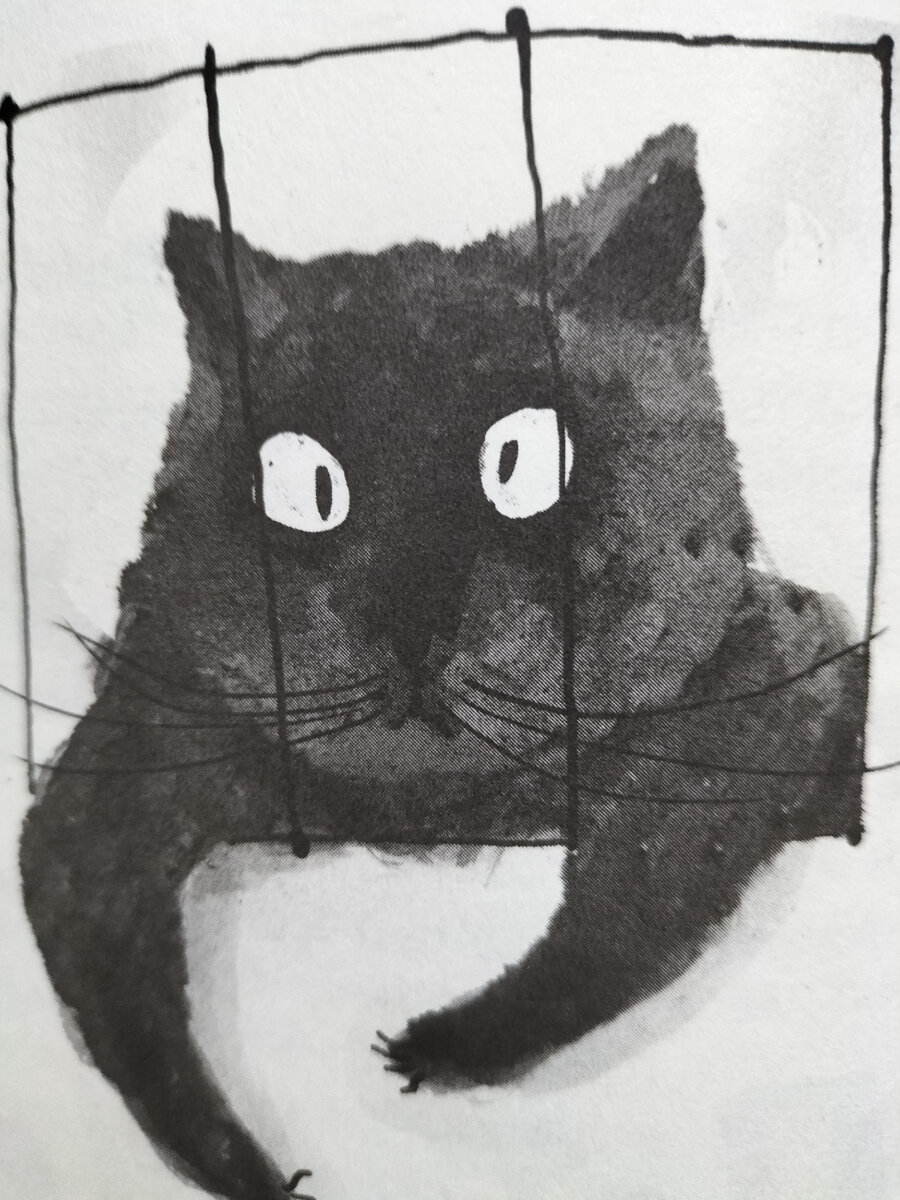 Фото автора страницы книги 