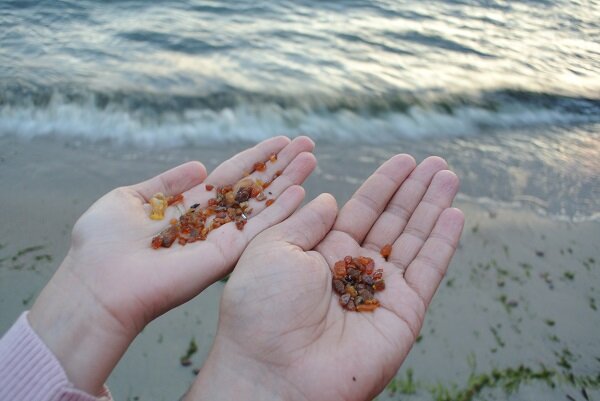 Найти и увезти янтарь.