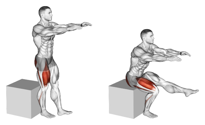 Тренировка ног тома платца программа