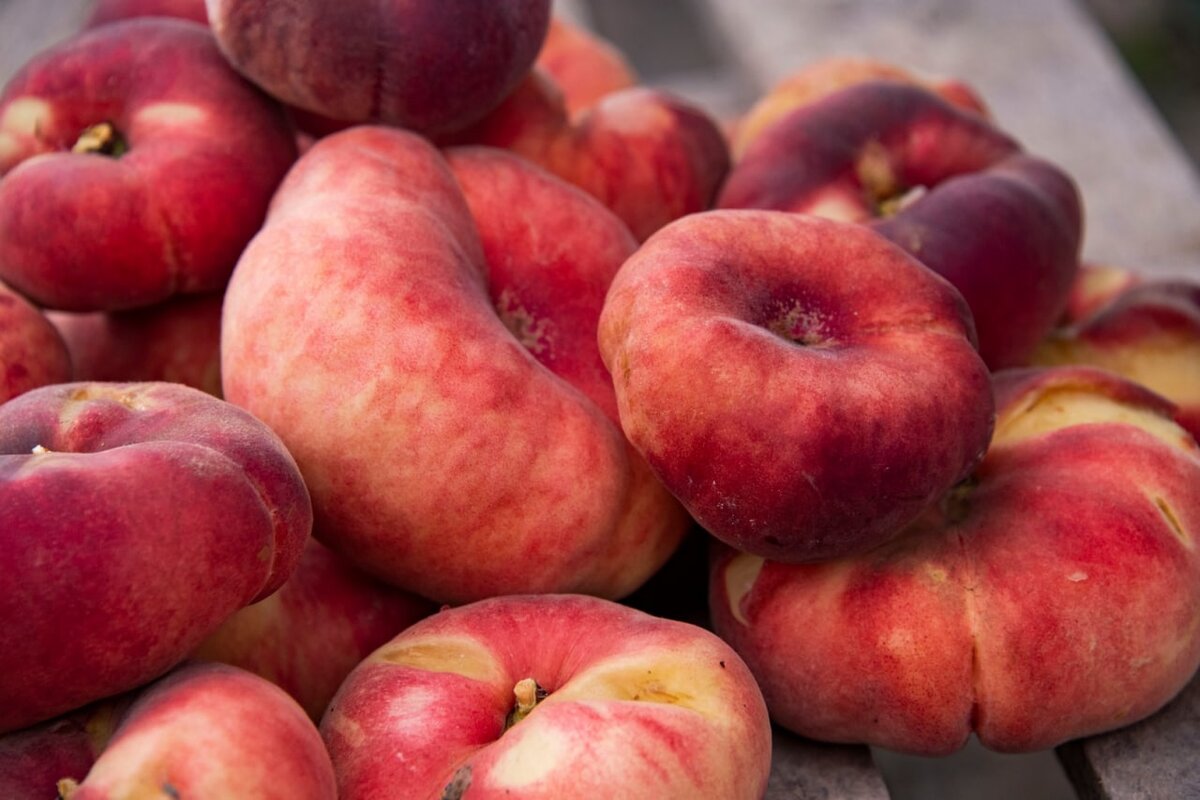 У инжирного персика бархатные щеки с ямочками!