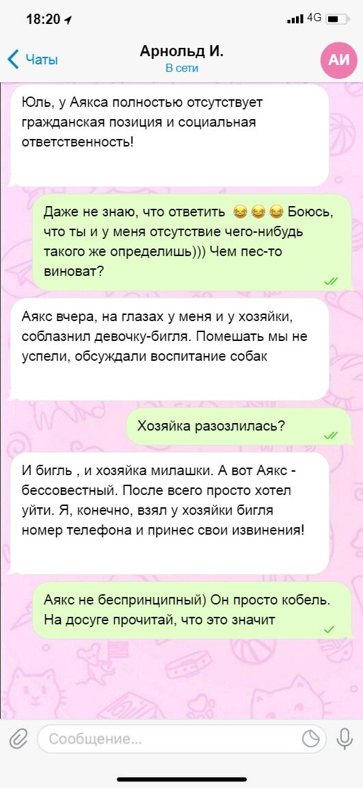 Все изображения автора.