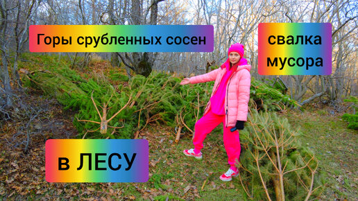 #62 Поход в горы в лес лайт Новороссийск #sumkiberry62 #поход #лес