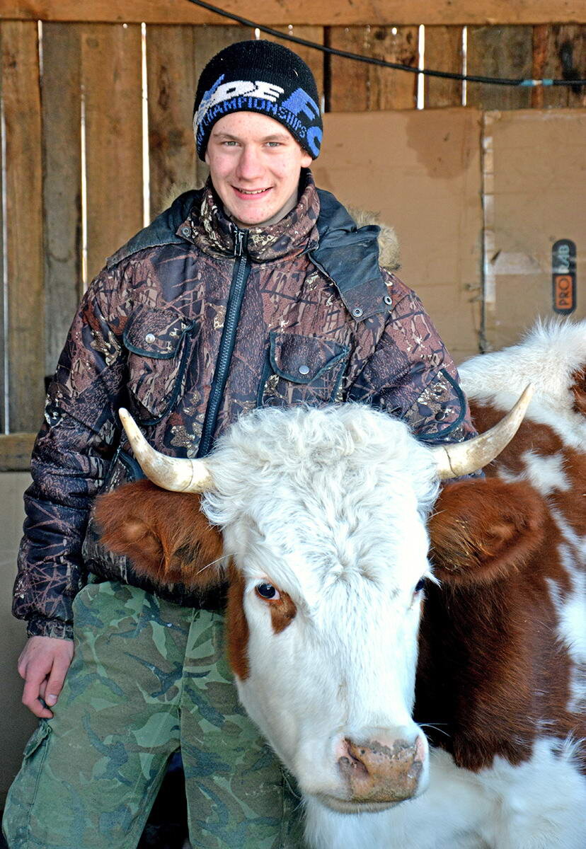 « —Что это мы все без молока и без молока? Надо бы корову купить!
— Надо бы, да где денег взять?
— А может, занять… у соседей?
— А чем отдавать будем?
— А отдавать будем молоком!»