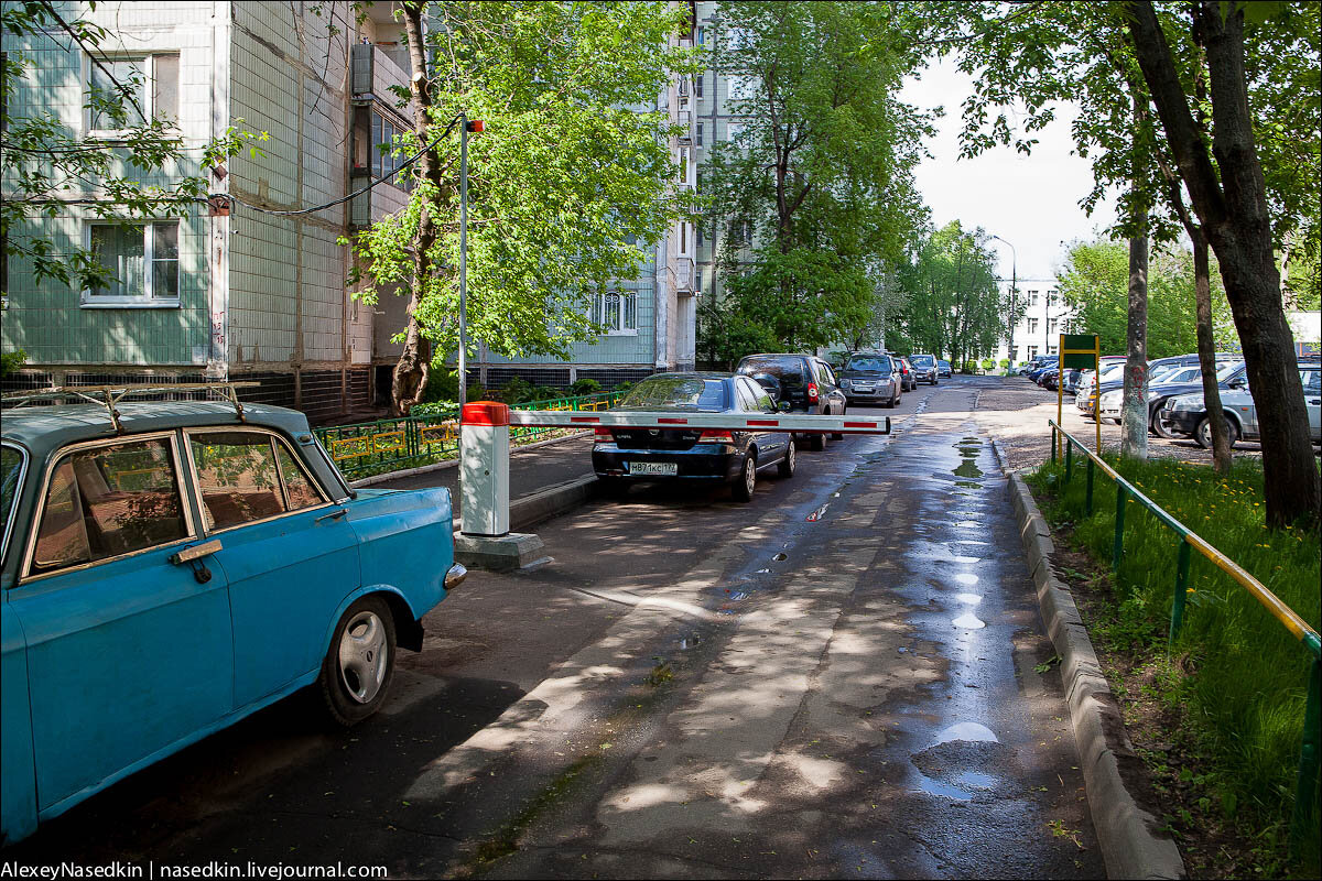 Москвичи дзен