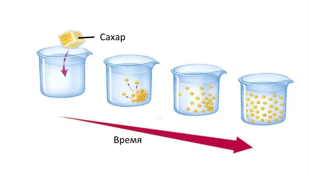 С помощью моделей. Модель растворения сахара в воде. Процесс растворения сахара в воде. Сахар растворяется в воде. Модель растворения кусочка сахара в воде.