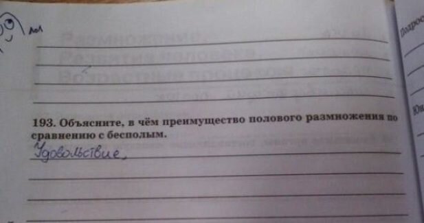 Что происходит в мозге во время оргазма?