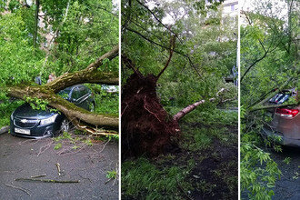 Последствия урагана в Алексеевском районе Москвы, 29 мая 2017 годаОльга Якушева/"Газета.Ru"