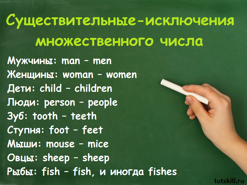 Глаголы в единственном и множественном числе | tutskill.ru | Дзен