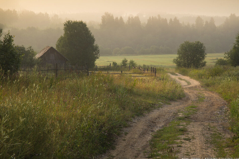 Деревня моя дорогая. Природа деревня. Пейзаж деревни. Деревенская тропинка. Тропинка в деревне.