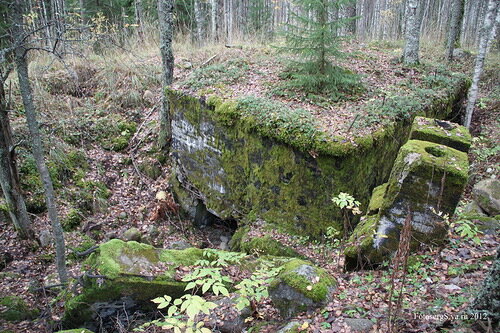 Фото отсюда: https://fotosergs.livejournal.com/45830.html