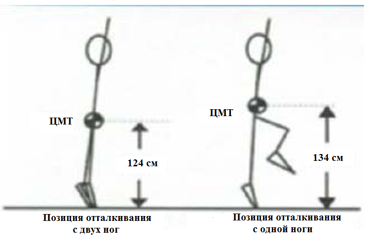 Треугольничек между ног! Это сексуально? Фото внутри - Советчица