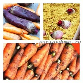 Вяленая морковь в духовке и на воздухе: рецепты Русский фермер | Морковь, Духовка, Овощи