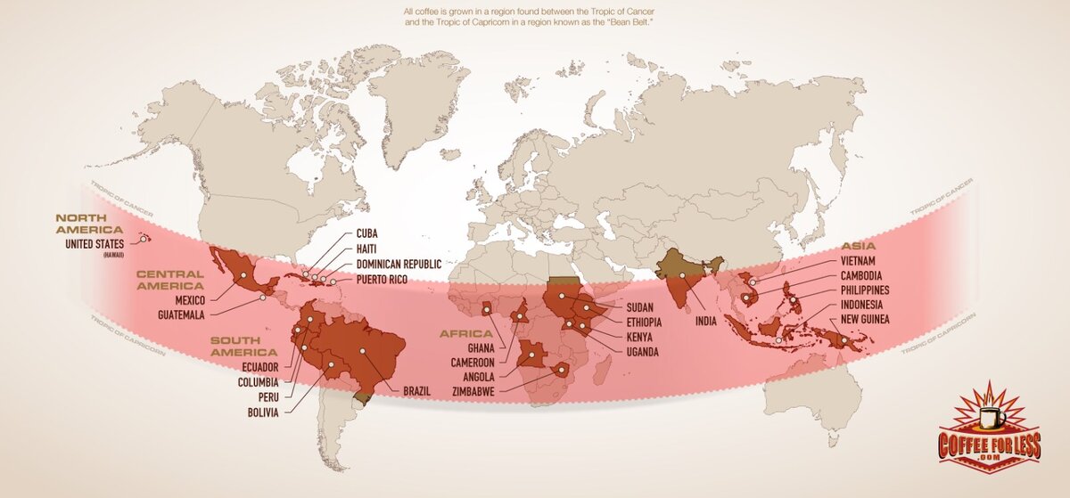 Кофейный пояс планеты