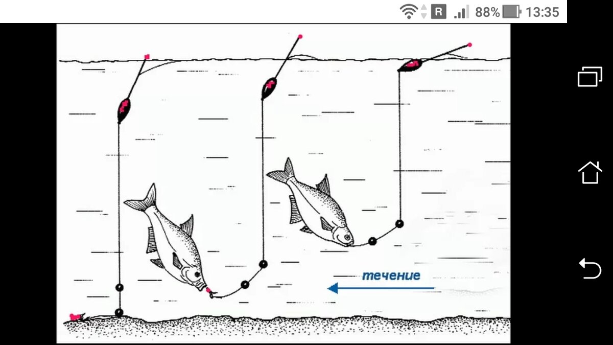Донная снасть резинка. Как ловить на резинку