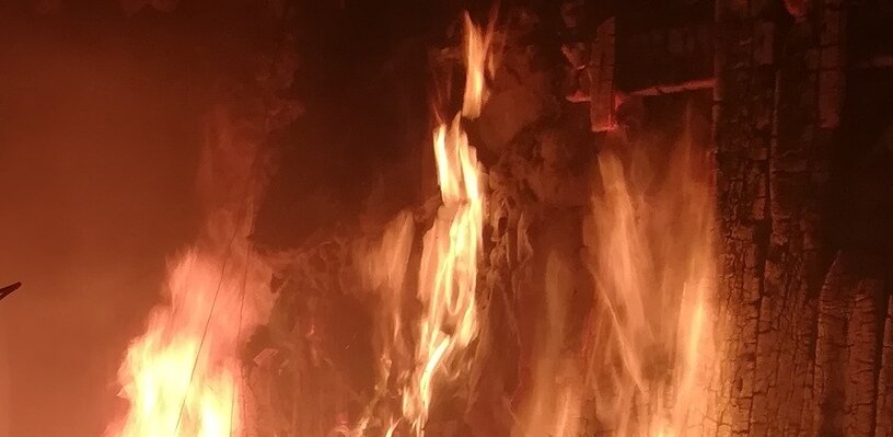  Фото: МЧС по Вологодской области