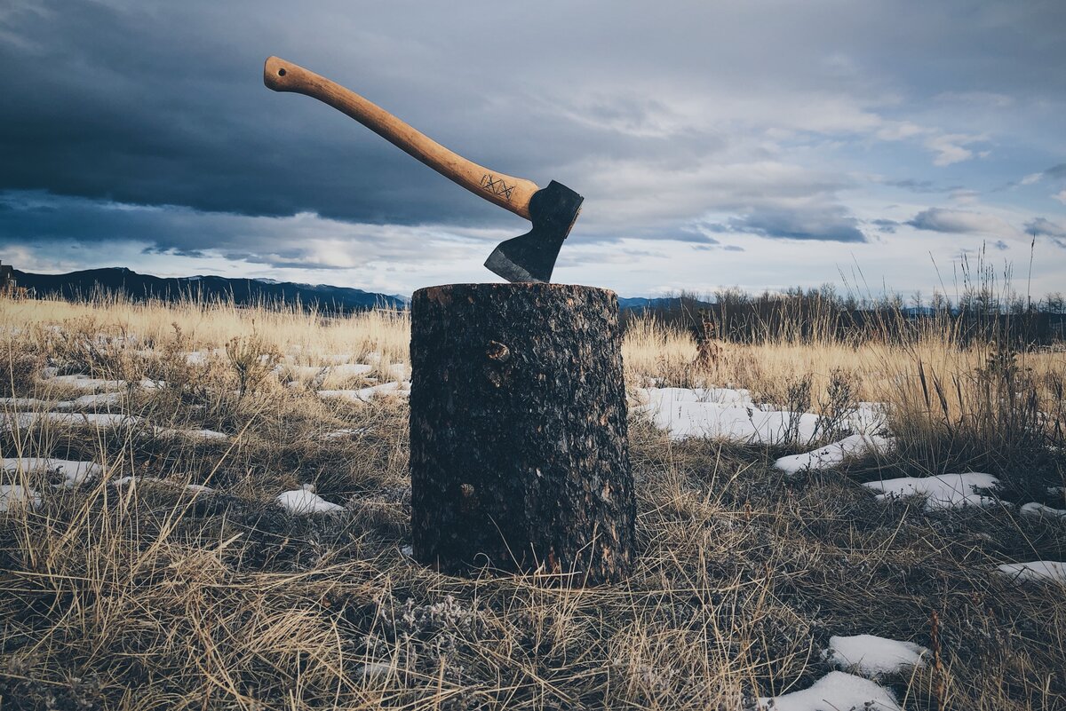 Источник фото: unsplash.com