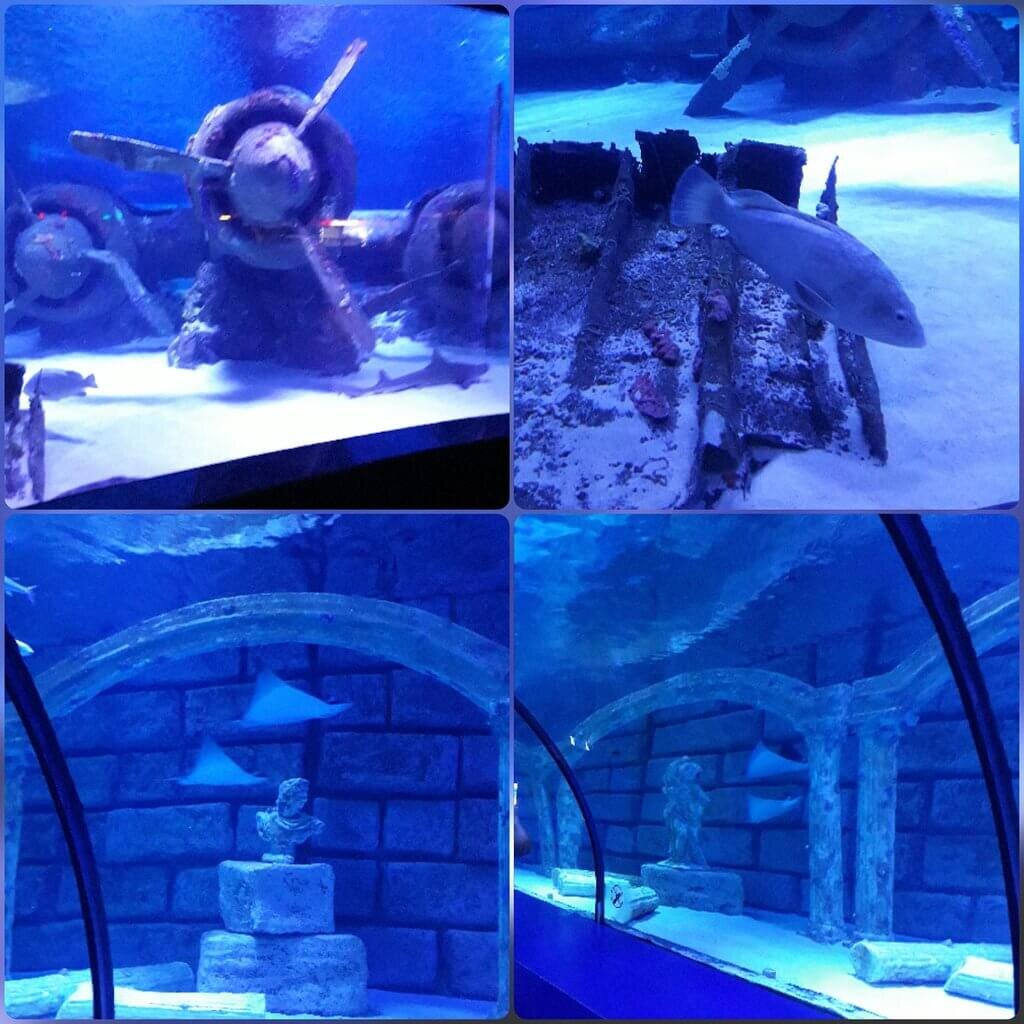 Действительно, океанариум, расположенный в Анталии, стоит внимания, его посещение не останется в вашей памяти горьким послевкусием. Это точно будет нестандартная галочка – я тут был, вы будете вспоминать его довольно долго. Если не верите нам, почитайте восторженные отзывы, посмотрите тематические видео (в статье они тоже есть, можно не уходить).