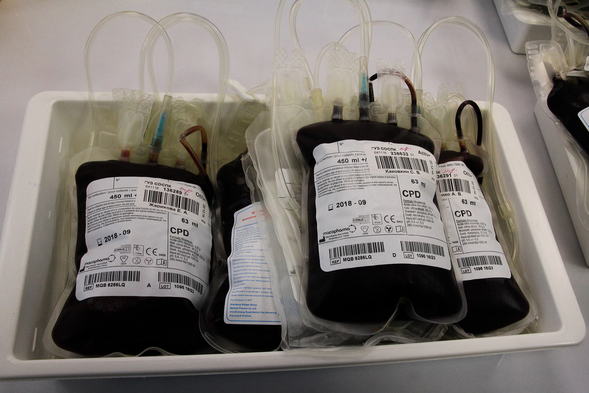 Сколько хранить кровь в холодильнике. Хранение крови для переливания. Пакет с кровью для переливания. Как хранят кровь для переливания. Где хранят кровь для переливания.
