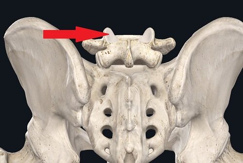 Те самые фасеточные — межпозвонковые — суставы.