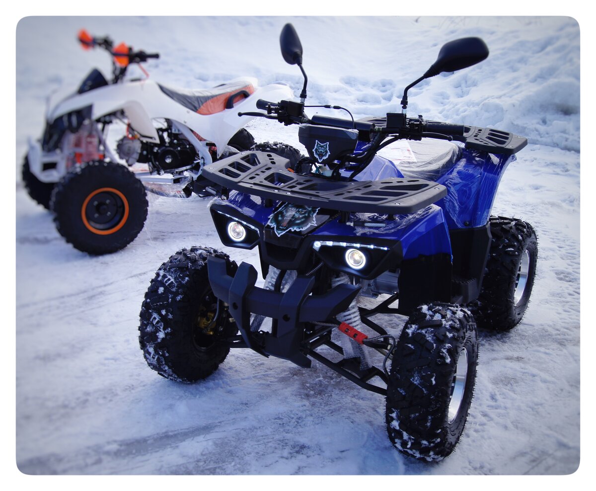 На заднем фоне MotoLand raptor, самая бюджетная новинка от MotoLand.