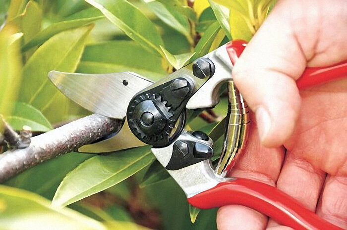 Секатор для сада