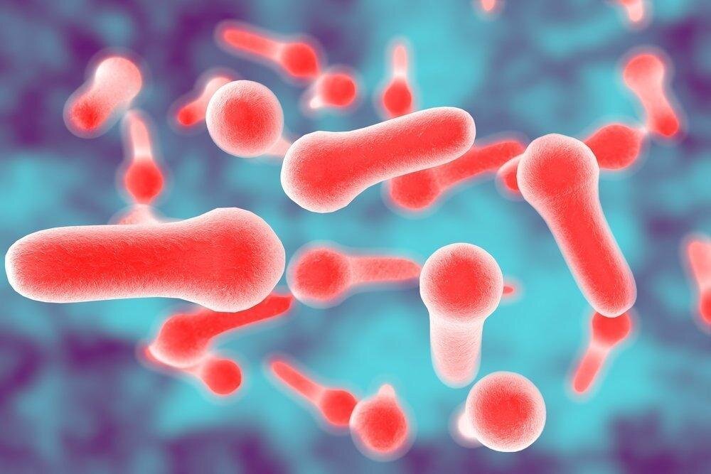 Палочки Clostridium botulinum