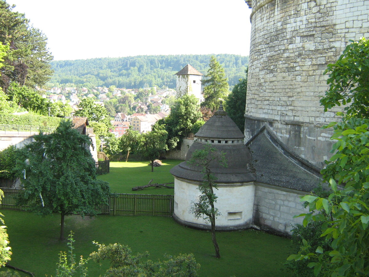 Живописный ров с зелёной травкой перед замком.
